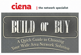Ciena’s WAN Decision Tree — Build or Buy