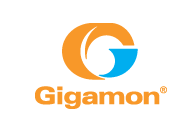 Gigamon Files for Follow-On Offering