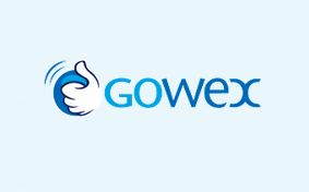 Gowex Suspended for Financial Irregularities