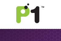 Telekom Malaysia and SK Telecom Invest in P1