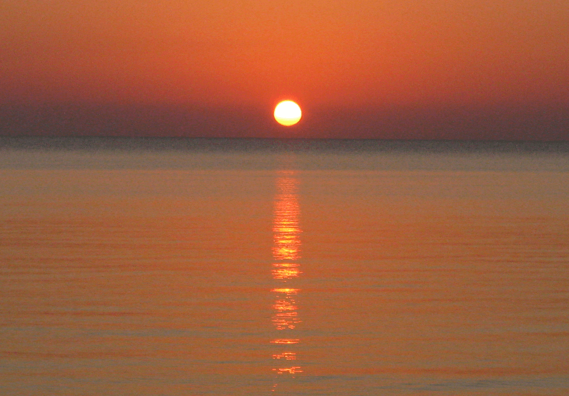 Blueprint: The Rise of the Virtualized Network