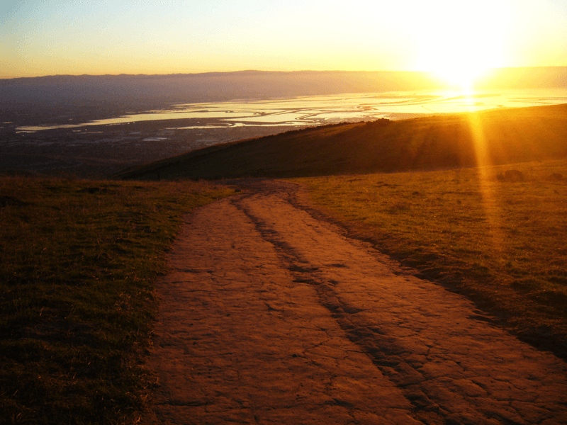 Blueprint: Why the IoT is Forcing Mobile Operators to Redesign