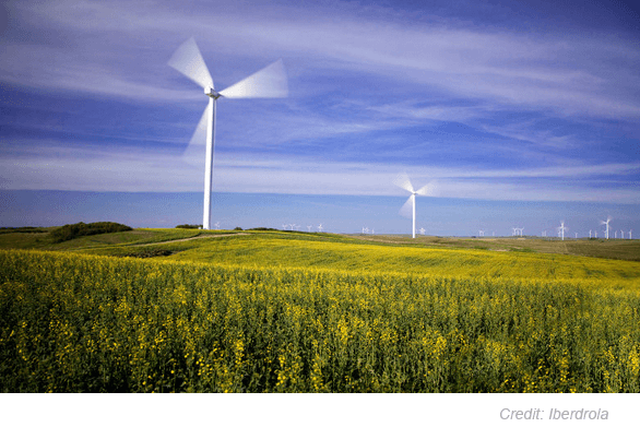 Amazon Web Services to Build 208 MW Wind Farm in North Carolina