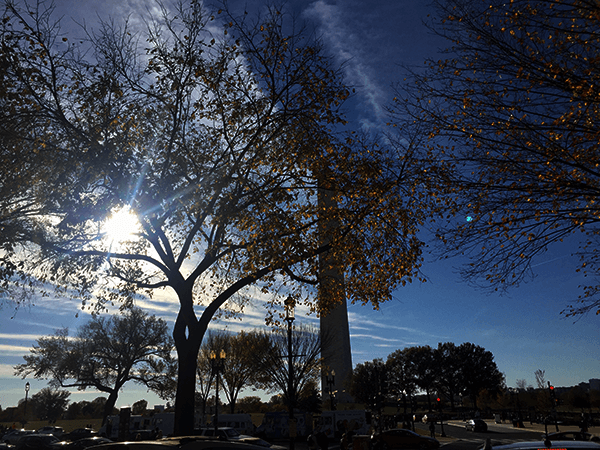 AT&T and Colt Hold SDN Interoperability Trial