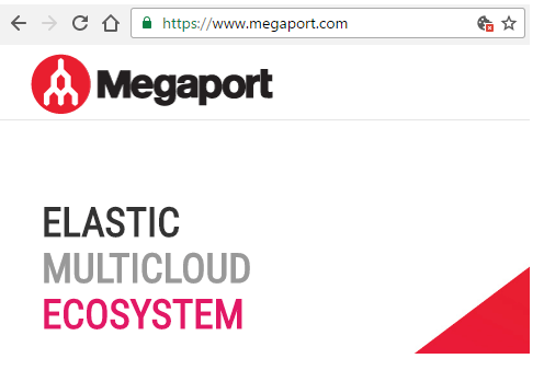 Italy-based Enter partners with Megaport
