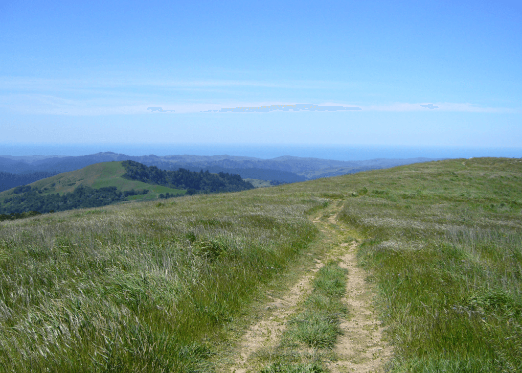 Finally, a big acquisition happens in SD-WAN