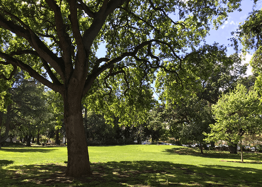 Nutanix takes a pass at the public cloud, expanding its market potential