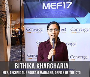 #MEF17 LSO Hackathon Overview