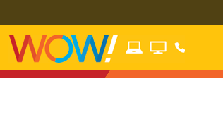 Verizon acquires Chicago fiber network from WOW