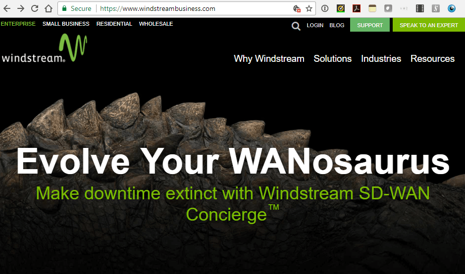 Windstream extends core network to content and media customers