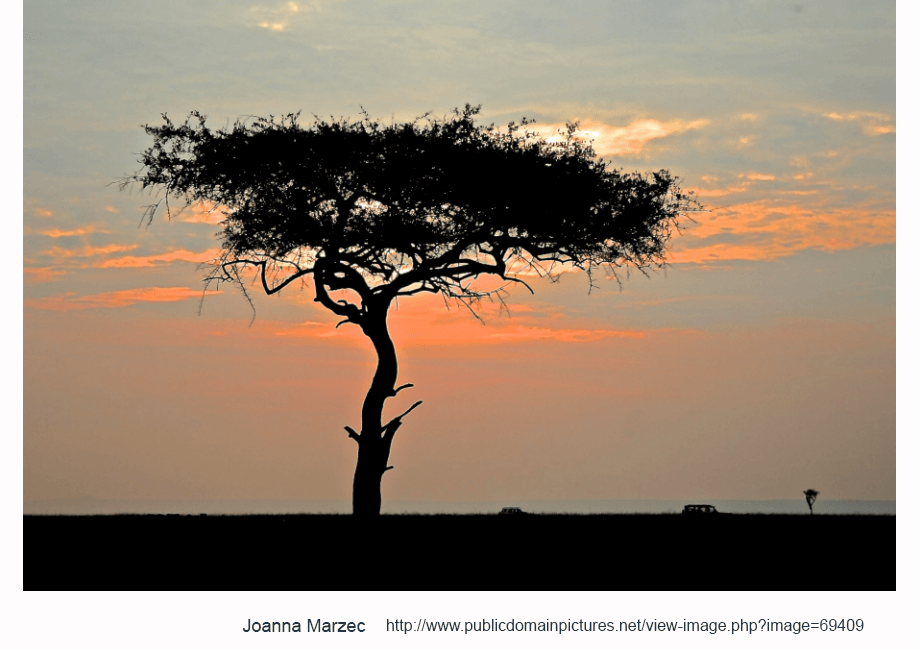 Profile of the Telecoms market in Kenya – part 4