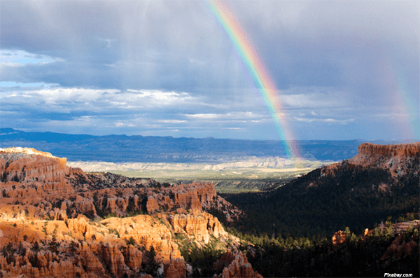 Limelight and Akamai finally settle all legal disputes