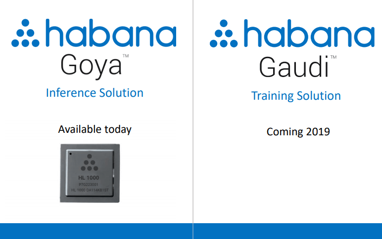Interview: Habana Labs targets AI processors