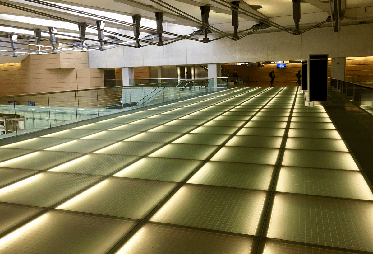 2019 Network Predictions