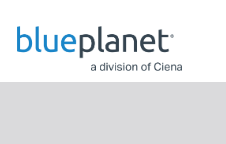 Ciena’s Blue Planet intros inventory automation solution