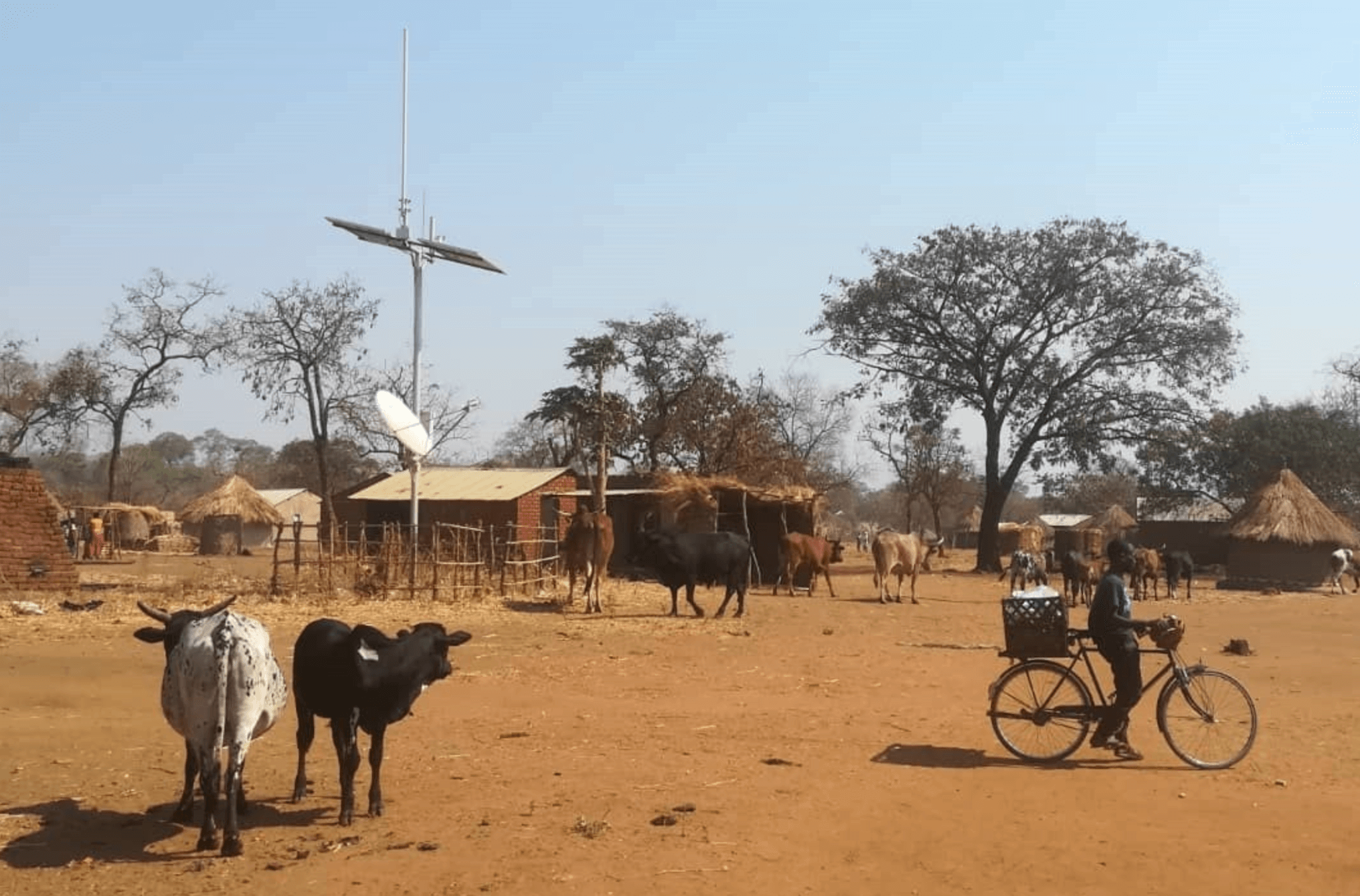 Africa Mobile Networks charts rapid growth