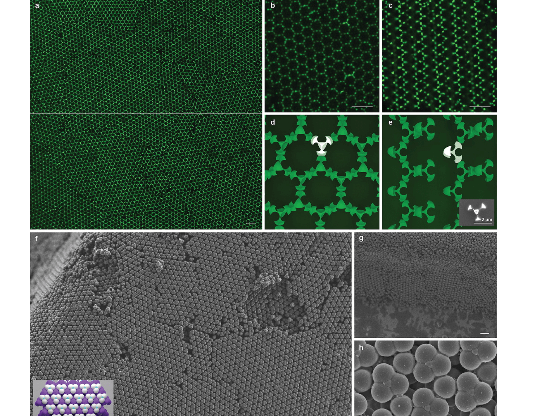 NYU: Colloids in a diamond lattice offer potential for photonic circuits