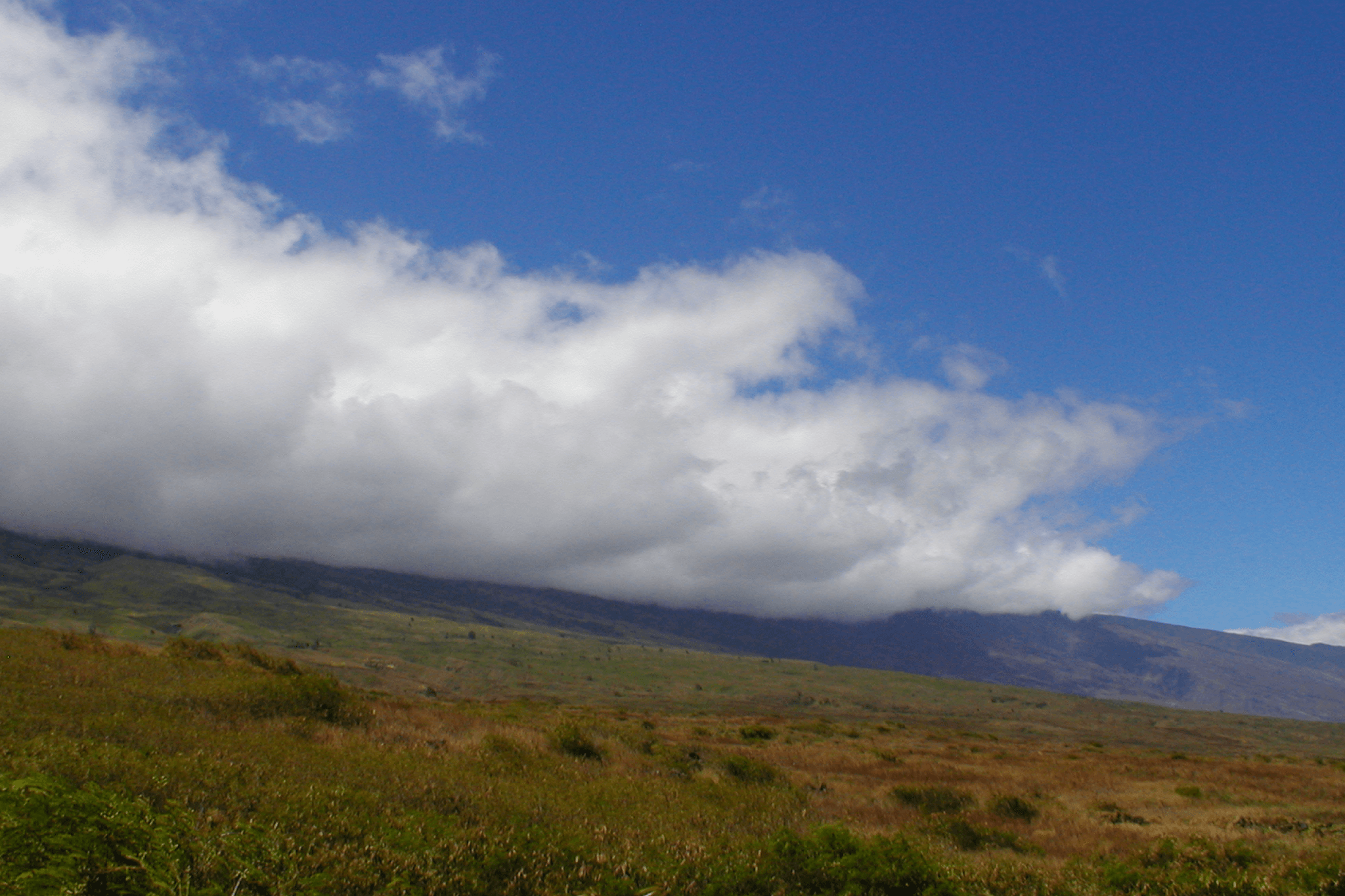 Perspective: Growth occurs at the cloud edge