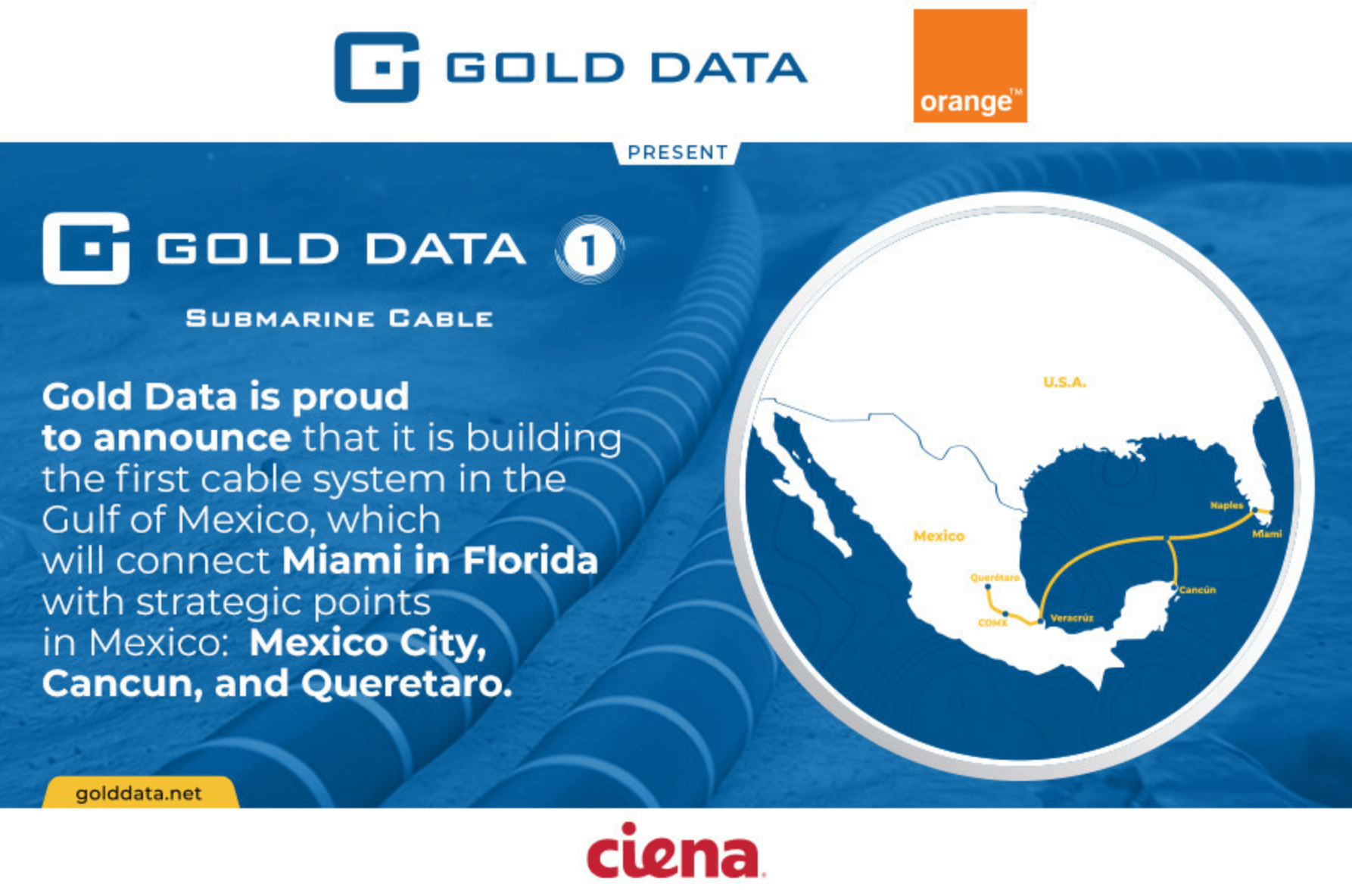 Gold Data plans subsea cable across Gulf of Mexico