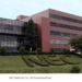NTT and NEC target decarbonization initiatives