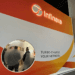 Infinera hits 61.3 Tbps on simulated 1,240km Telstra InfraCo intercity link