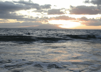 Ericsson Cloud RAN now runs on Google Distributed Cloud