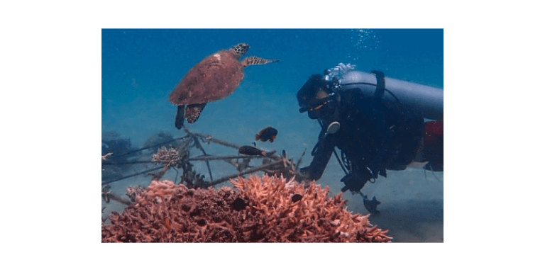 Orange Business and Tēnaka work to restore coral reef in Malaysia