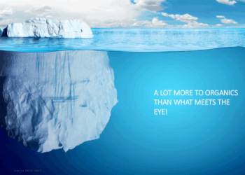 PECC Summit: NLM Photonics Advances Silicon-Organic Hybrid Modulator