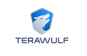 TeraWulf and Fluidstack Secure Financing for 168 MW Data Center in Texas
